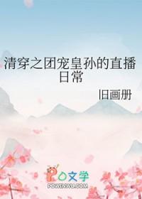 清穿之团宠公主是国宝 作者