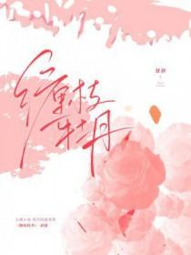 缠枝牡丹纹图案